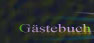 G�stebuch